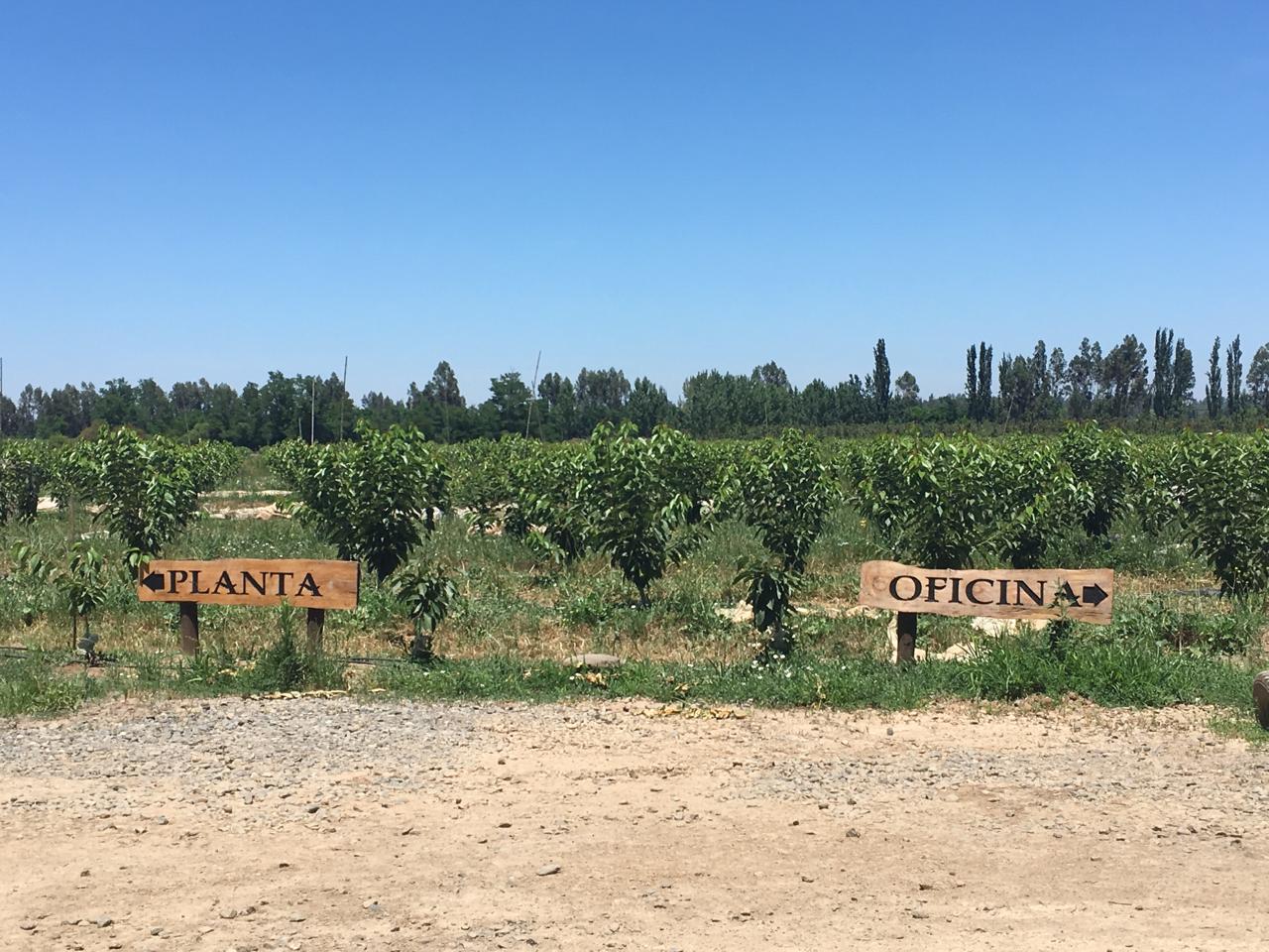 Letreros de planta y oficina a la entrada del huerto